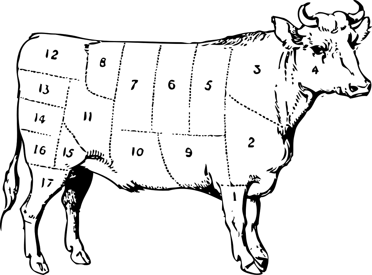 בעל חיים 